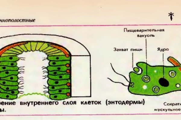 Как через сафари зайти на кракен