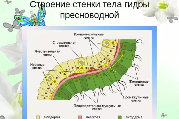 Кракен кз